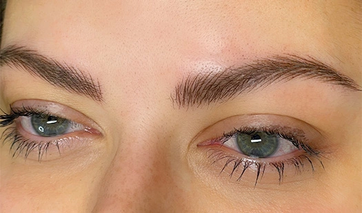Hyperrealistic Airy Brows-7